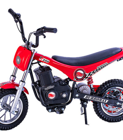 BurroMax TT250 Electric Mini Bike for sale