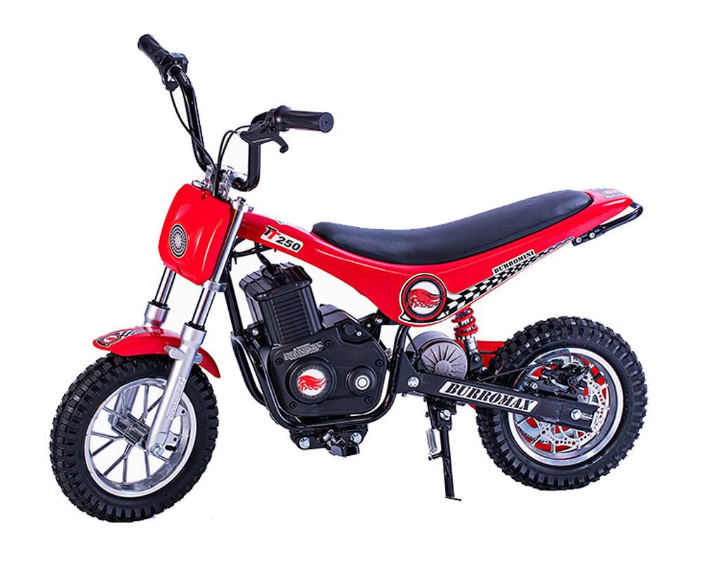 BurroMax TT250 Electric Mini Bike for sale