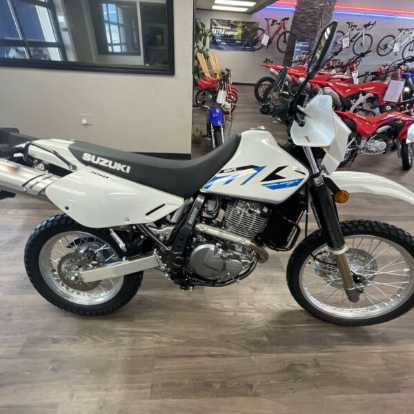 Suzuki DR650S